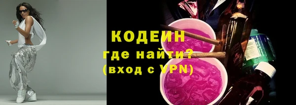 хмурый Арсеньев