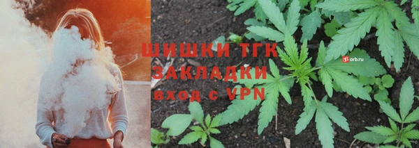 трава Аркадак
