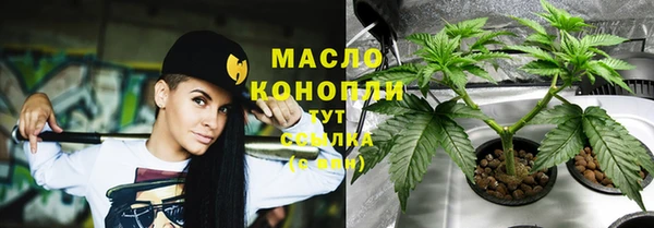 трава Аркадак