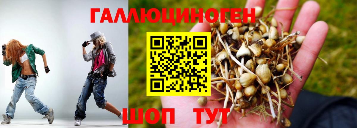 Балабаново  Галлюциногенные грибы Psilocybine cubensis  Вход с VPN 